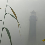 Phil Courtney", Lighthouse with Yellow Flowers", 18” x 46”, oil on canvas