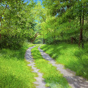 David Bottini, "Side Trail", 18” x 18”, acrylic on canvas