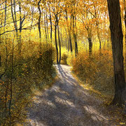 David Bottini, "Golden Path", 24" x 24”, acrylic on canvas