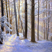 David Bottini, "Chilly Dawn", 16" x 20” , acrylic on canvas