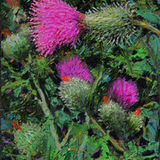 Fred Danziger, ”Thistle”, 6" x 4"
