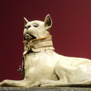 Mostra wunderkammer Milano