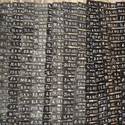 Les 1420 Vendredis de Robinson - Installation en cave
