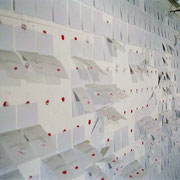 Rouges origines - intervention du public en cours (suite)