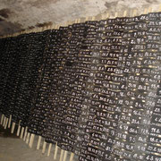 Les 1420 Vendredis de Robinson - Installation en cave