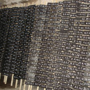 Les 1420 Vendredis de Robinson - Installation en cave