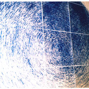 Planète belle, planète bleue, tampon encré sur papier, 350 x 350cm (polyptyque: 25 panneaux de 70x70cm).