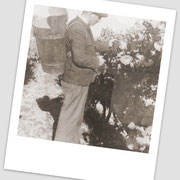 Franz Bauer 1959