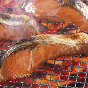 SHIO JAKE ; grilled Tasmanian salmon