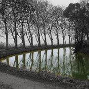 Canal du Midi près de Poilhes (34)