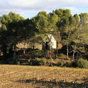 Petite chapelle au milieu des vignes - Roquebrun (34)