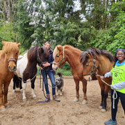 Besuch Pflegestelle für Pferde
