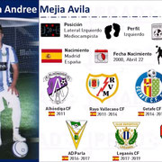 Brayan Andree Mejia Avila