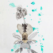 Flora obscura 5