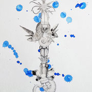 Flora obscura 4