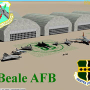 Beale Air Force Base (AFB) Pack