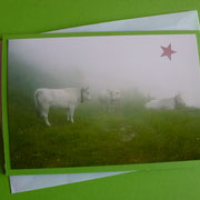 Die Kühe im Nebel