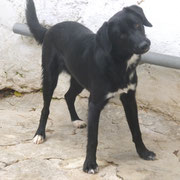 Lorka