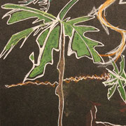 Brazilian Sketchbook
