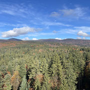 ...in the national parc "Bayerischer Wald".