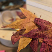 Disposez les feuilles en ligne sur du ruban double face