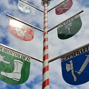 Maibaum Rheintal