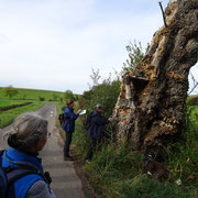 Foto © Heinrich Beigel