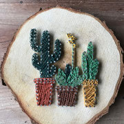 decoratie cactussen