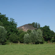 HAVELUY