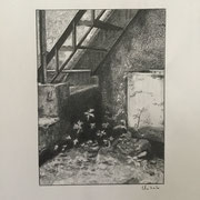 Clotilde CAUCHOIS-PESSIN
