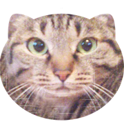 オフセット印刷はリアル系も得意です