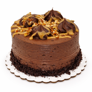 Turtle Cake