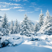 W4 - Winter-Motiv, weiß-blau (Polyestergewebe) = 25 EURO - B250 x H300cm