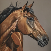 Duncan, Pastellkreiden (Auftragsarbeit)