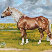 Haflingerhengst Stradiano, Pastell
