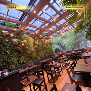 fungi, fungi bar condesa, bares en condesa, bares en cdmx