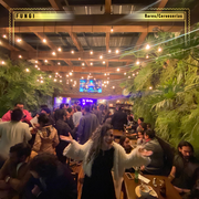 fungi, fungi bar condesa, bares en condesa, bares en cdmx