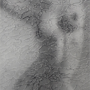 Hidden Figure, Graphite on Paper, 15"x20". Original available.