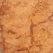 Tikul 40x04
