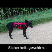 Sicherheitsgeschirre privat