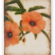 T-345 HIBISCUS  (retired)  |  [129 € ] SALE 99 €