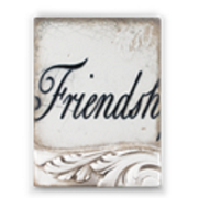 T-251 FRIENDSHIP  |  [129 € ] SALE 99 €