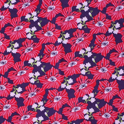 Astera Berry