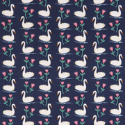 swans a swimming