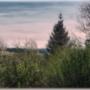 Ein junger Tag erwacht am Waldesrand