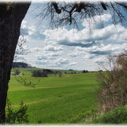 Blick auf das Große Tal in Brigachtal