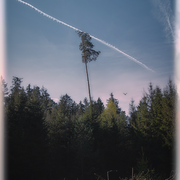 Zum Himmel hinaus