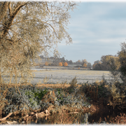 Weiden & Wiesen begleiten den Fluss