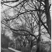 Der Weg hinunter nach Villingen