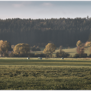 Ein Hof vor Beckhofen